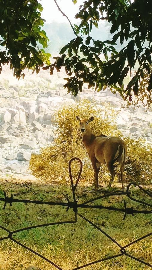 The Mountain View Khajuraho